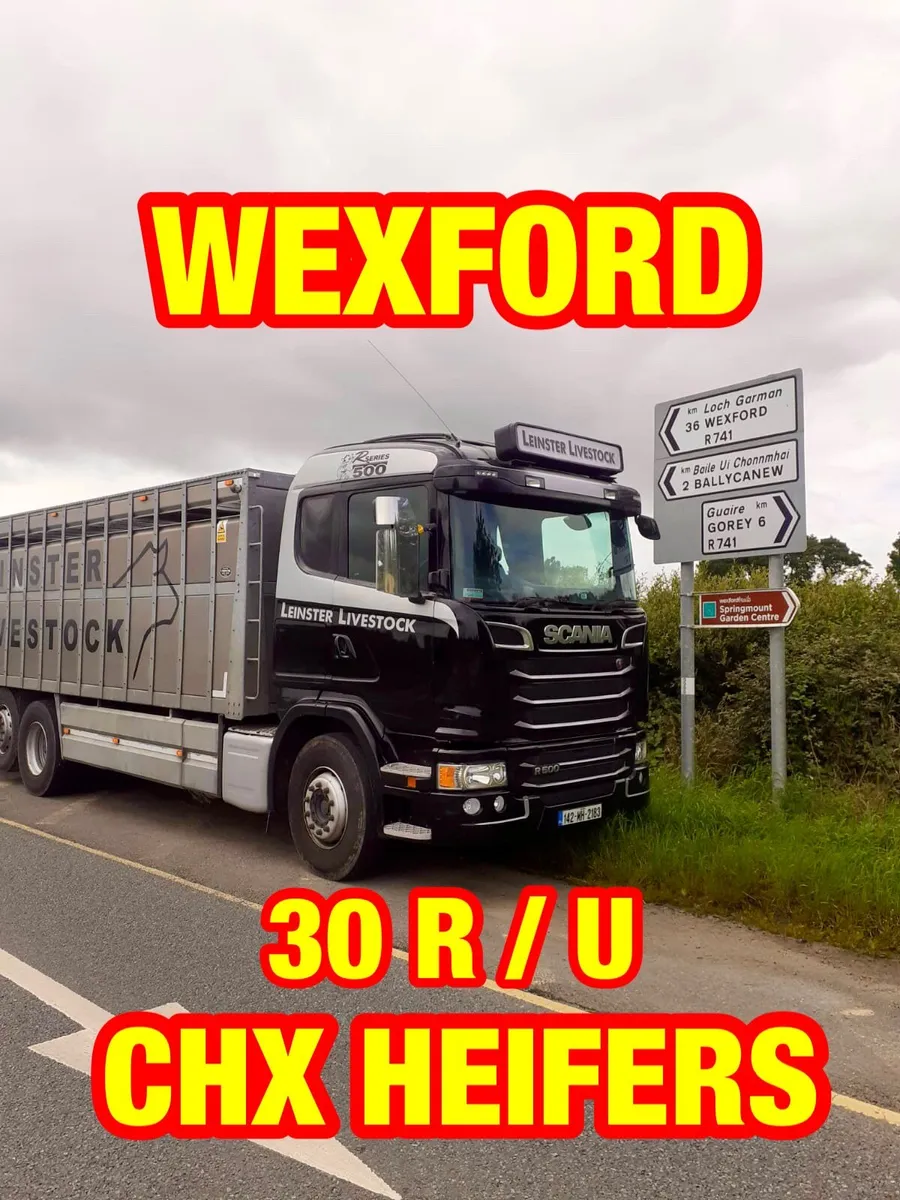 Thanks Wee Willy - Image 1