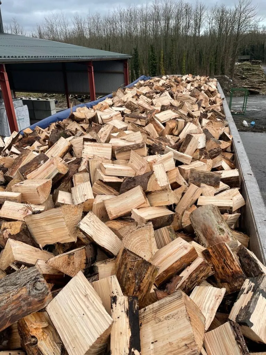 Wholesale Firewood Softwood - Image 1