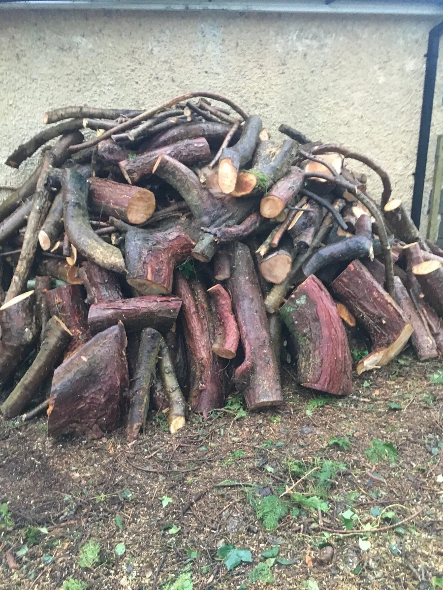 Firewood for sale in Co. Sligo for €1 on DoneDeal