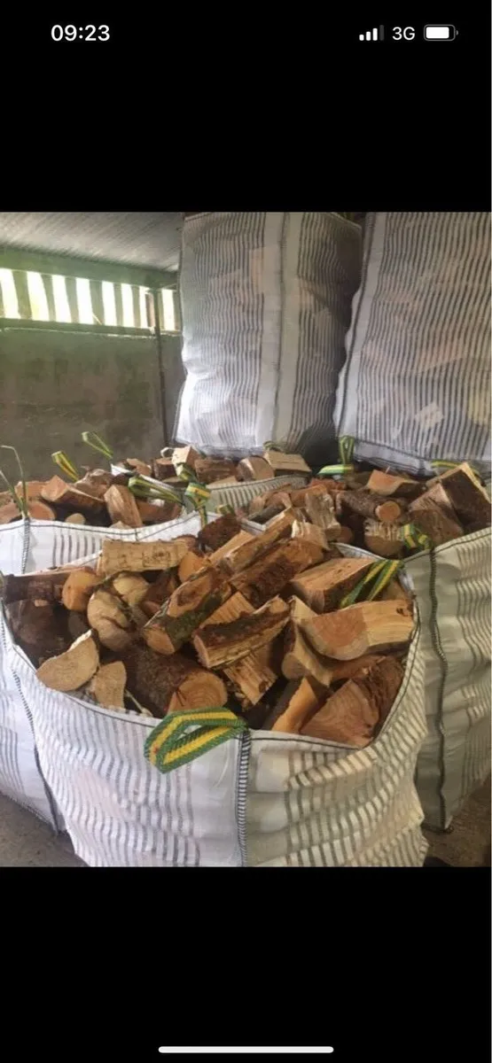 Wholesale Firewood Softwood - Image 3