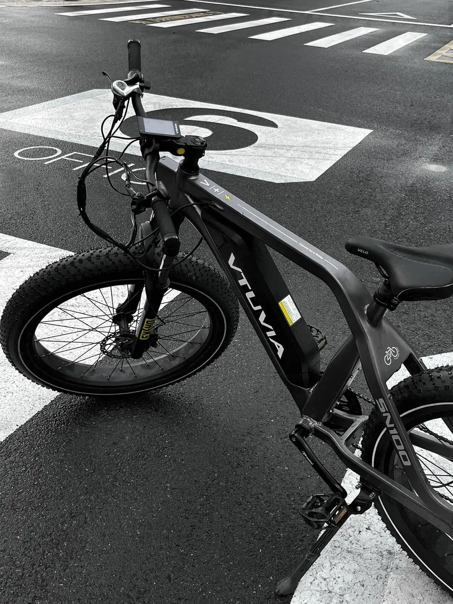 vtuvia electric bike price