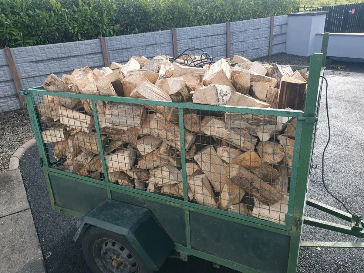 Firewood - Image 4