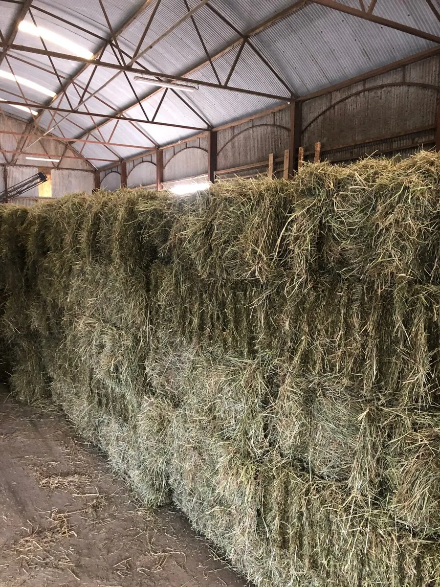 Small square bales of hay and straw - Image 2