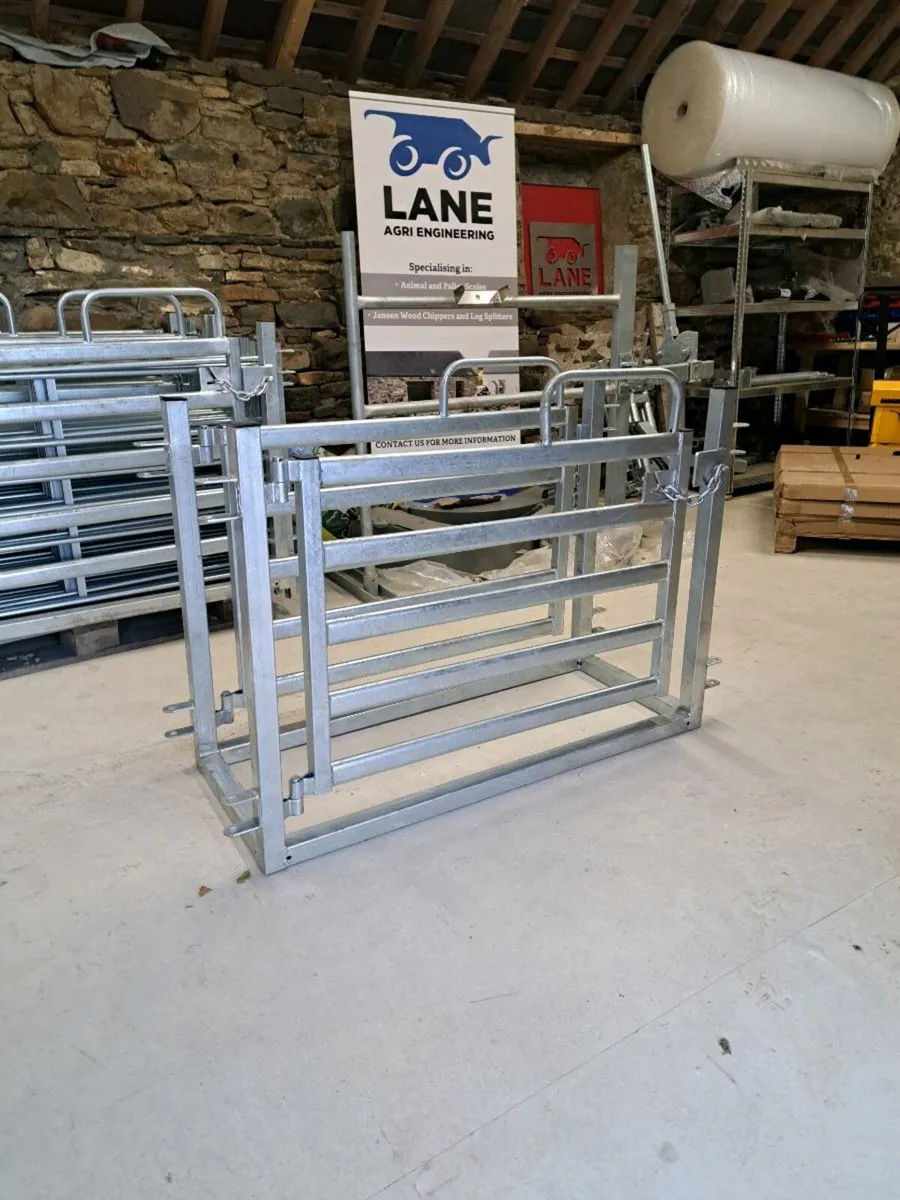 Sheep Drafting Gate - Image 4