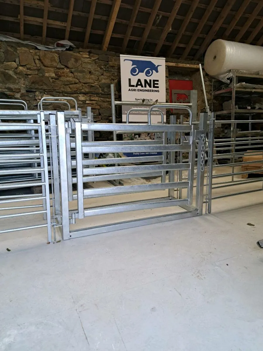 Sheep Drafting Gate - Image 2