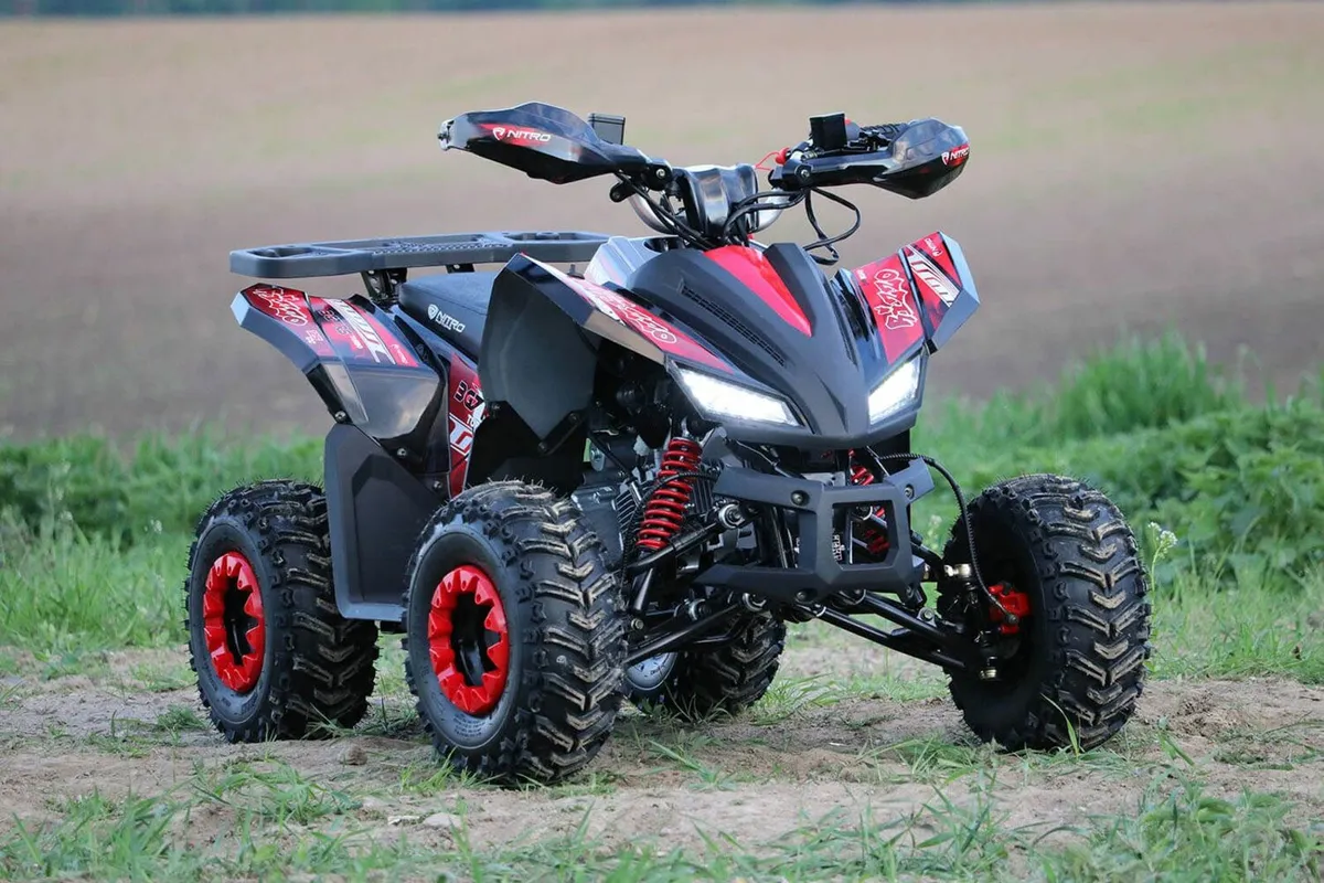 Mini quads discount for adults