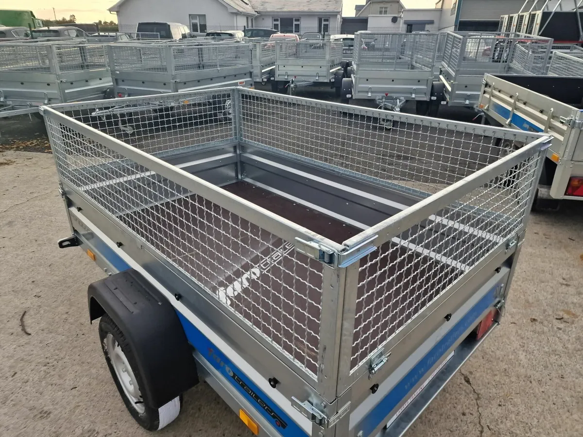 6x4 Trailer with mesh - Image 2