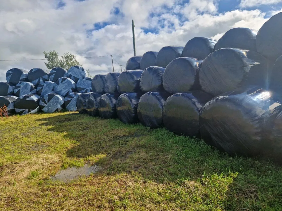 Bales Of Silage For Sale