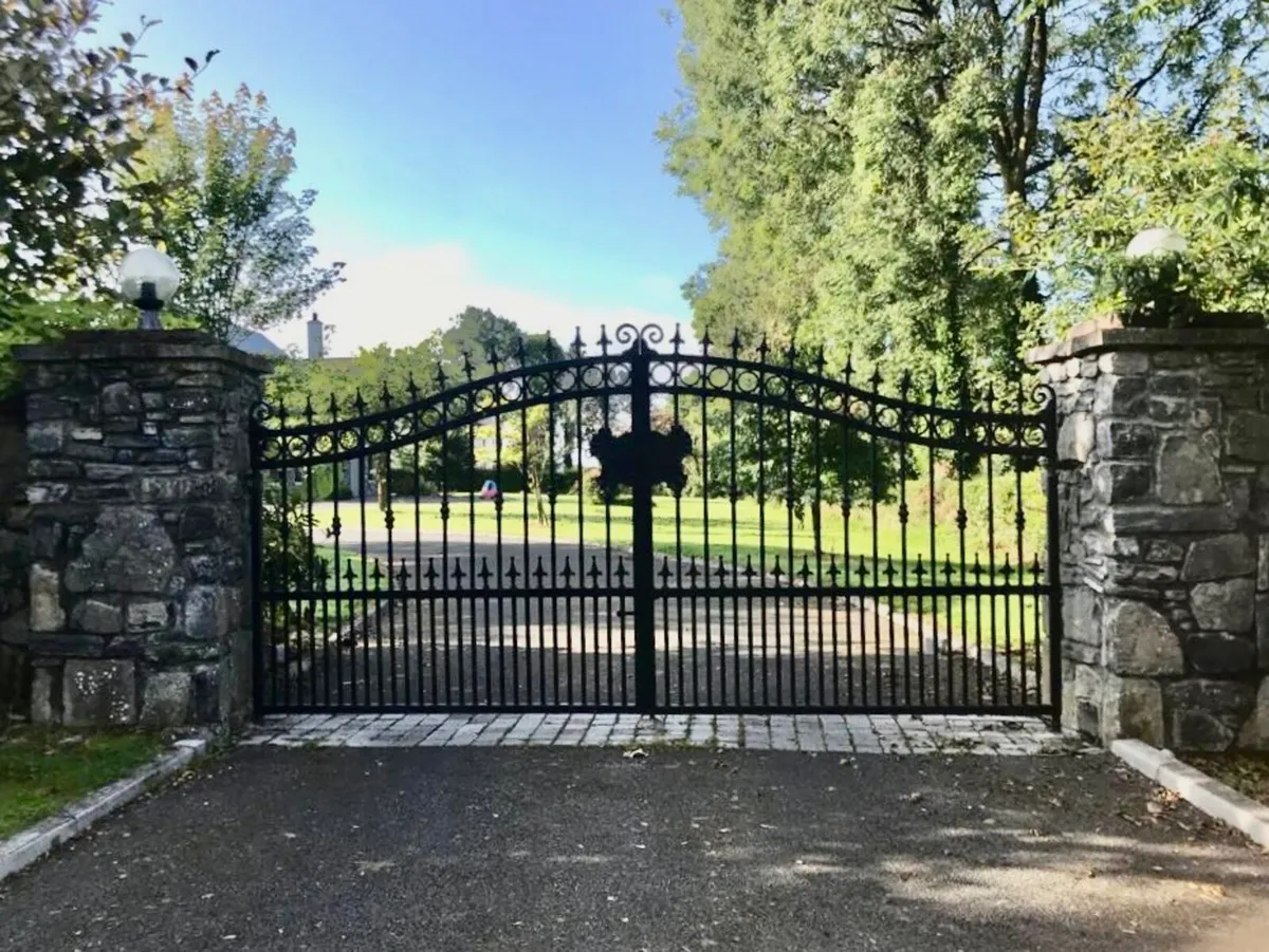 Iron Gates - Image 1