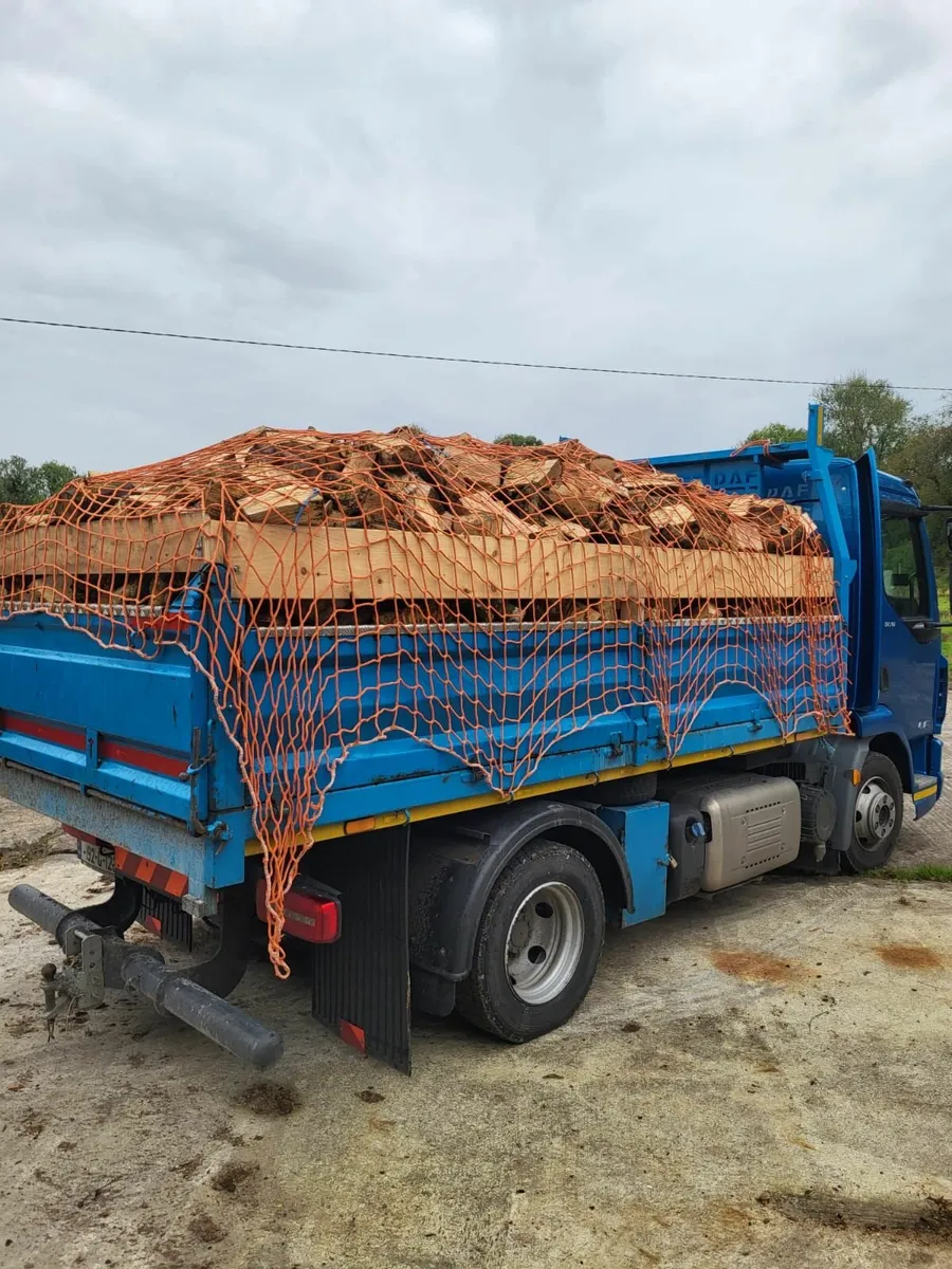Seasoned Beech Firewood - Image 2