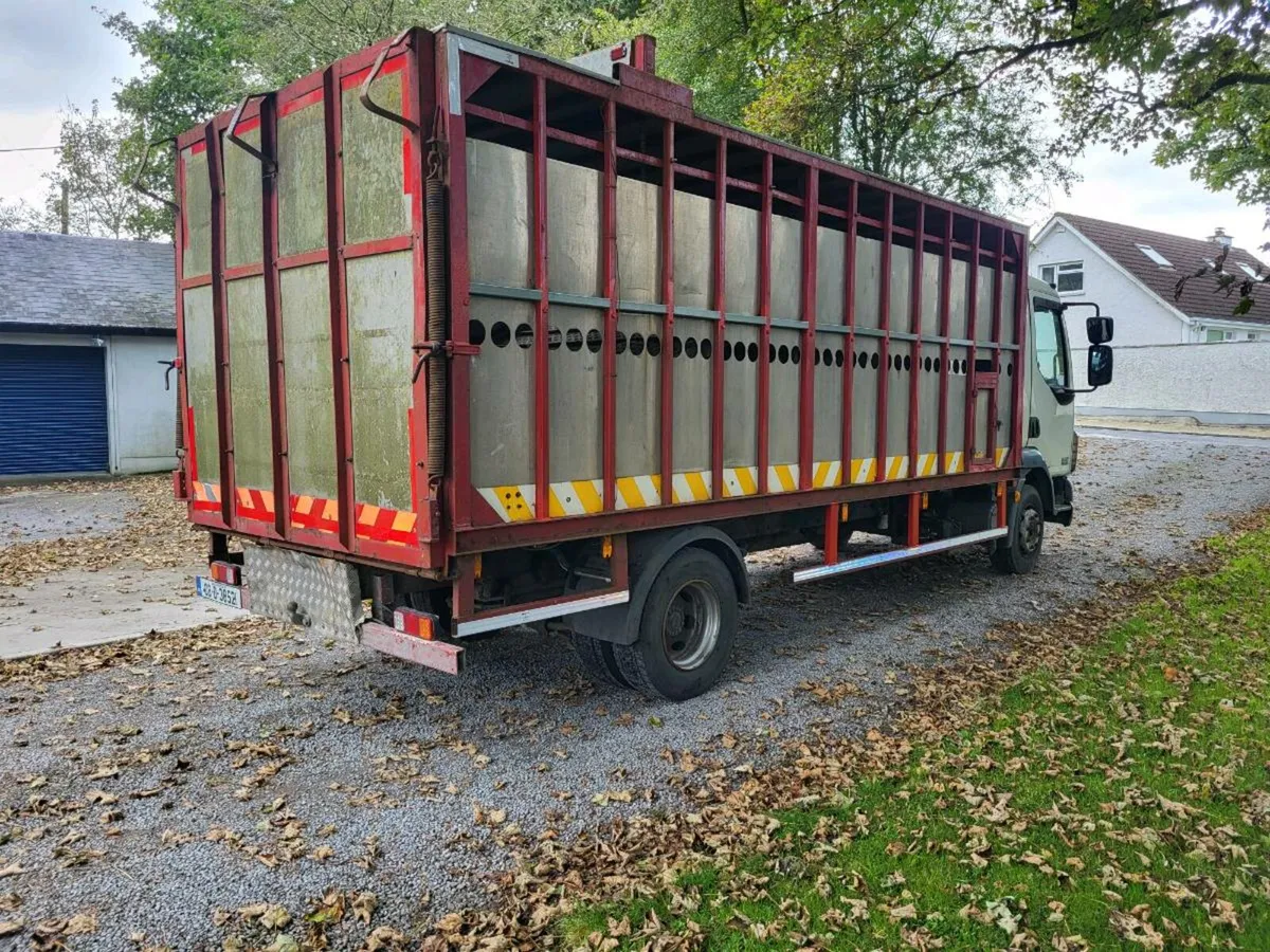 Daf LF 10 ton livestock truck in test - Image 4