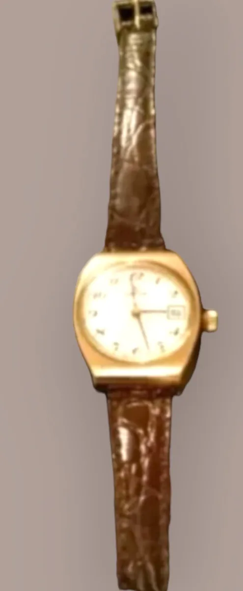 Rare Swiss Edox watch manual - Image 2