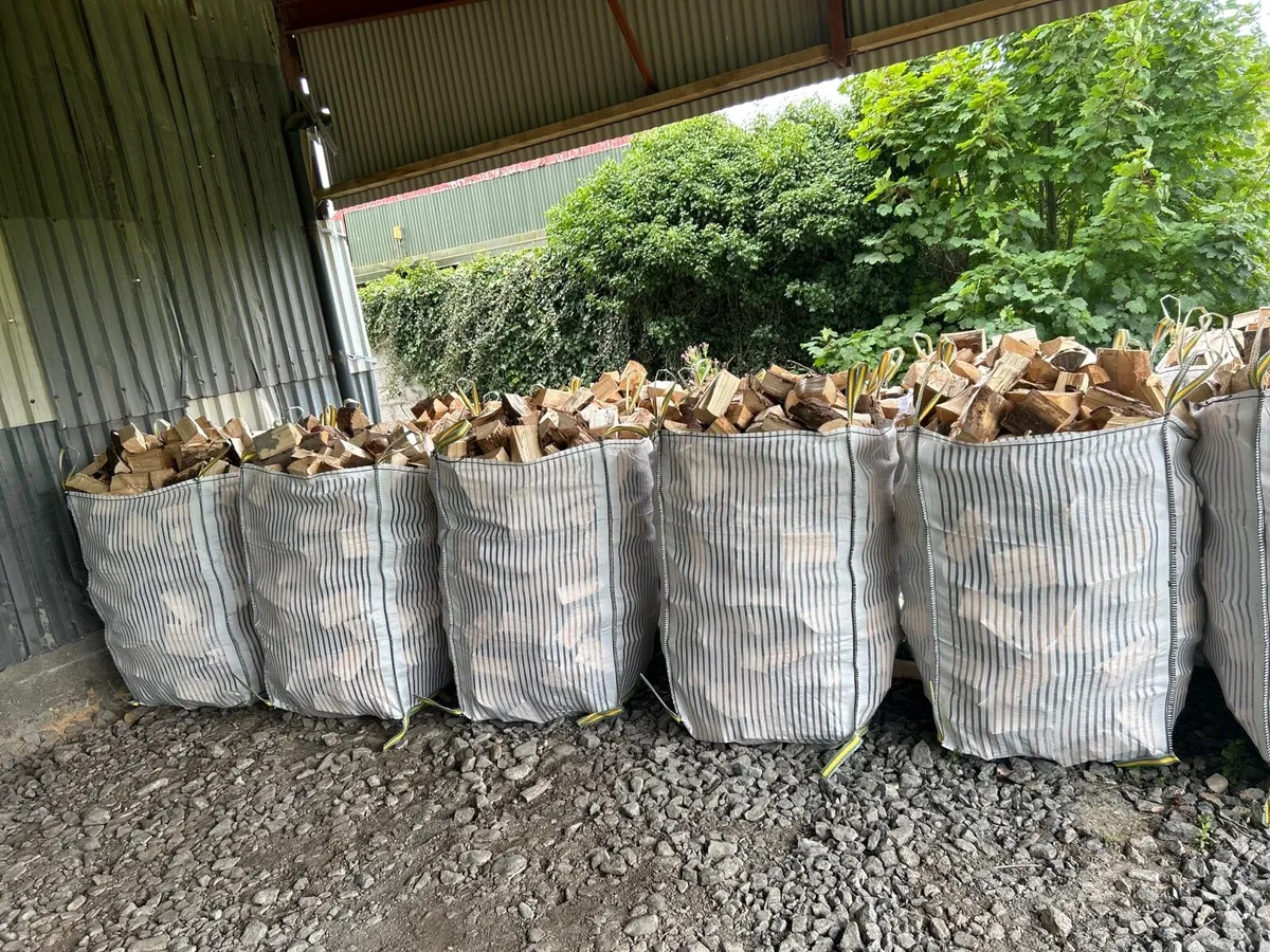 Wholesale Softwood Firewood - Image 3