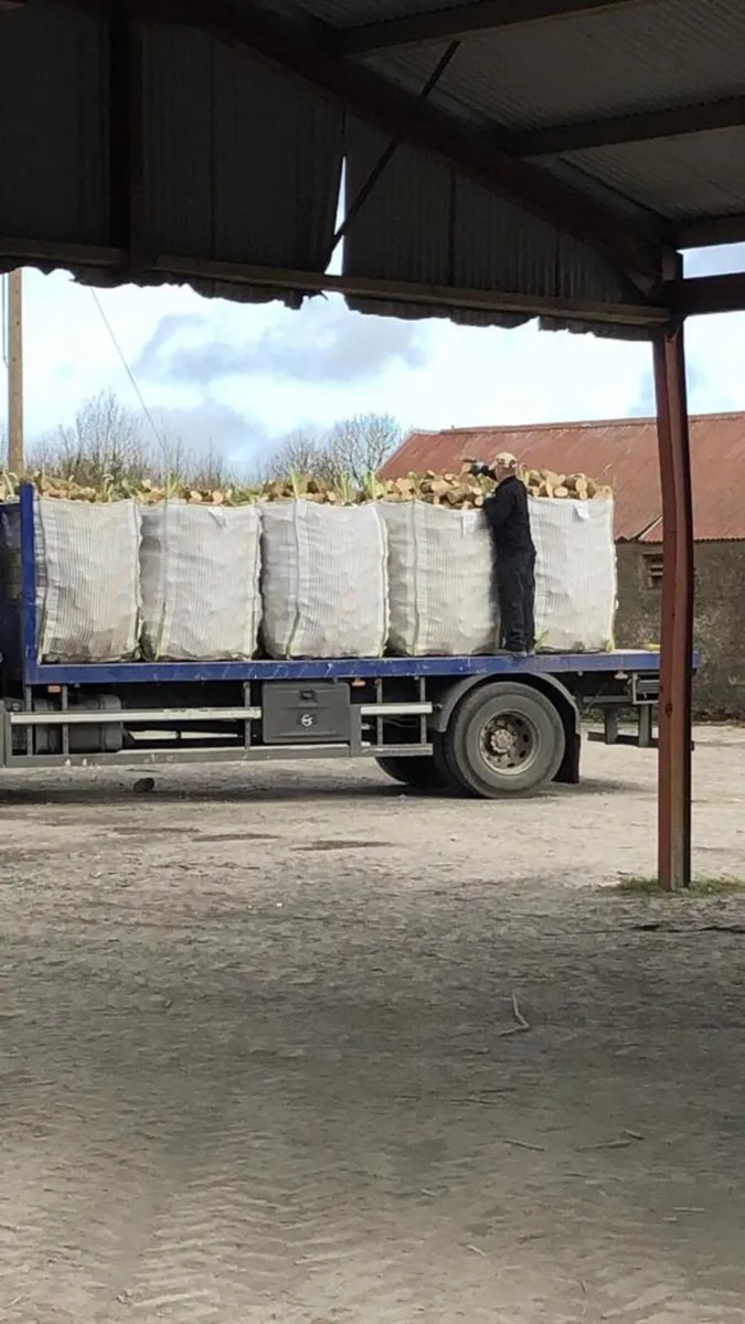 Wholesale Softwood Firewood - Image 4