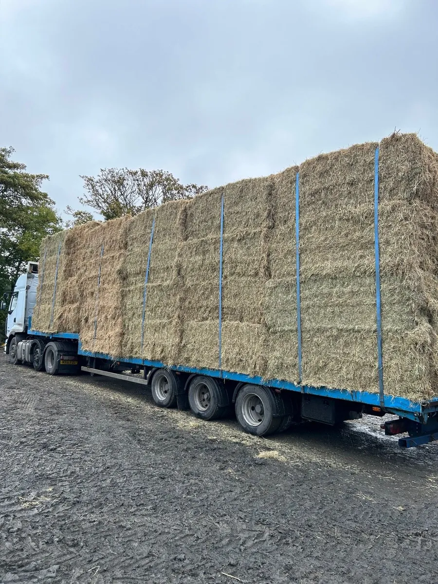 English hay in 8x4x3s