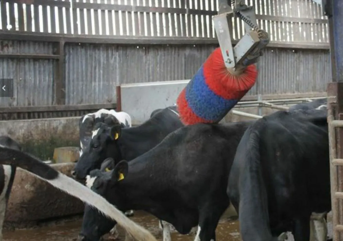 Automatic Swing cow brush for sale at FDS - Image 1