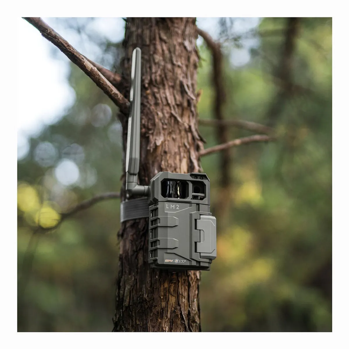 Spypoint Trail Camera - LM2