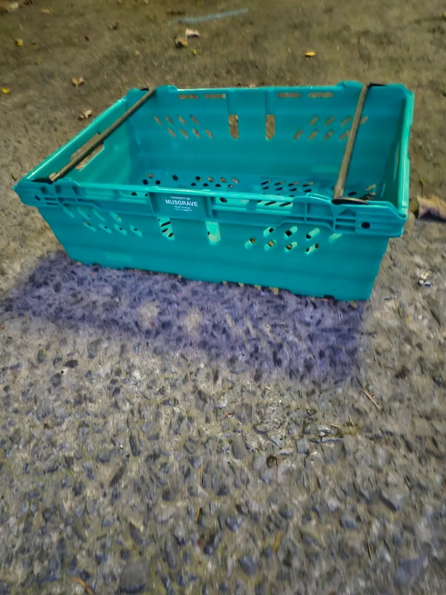 Plastic Crates - Image 1