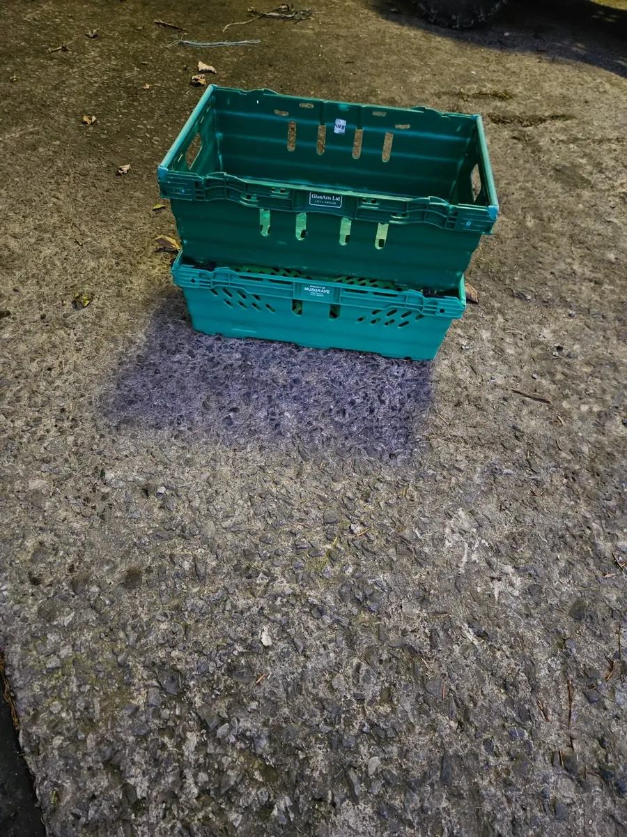 Plastic Crates - Image 3