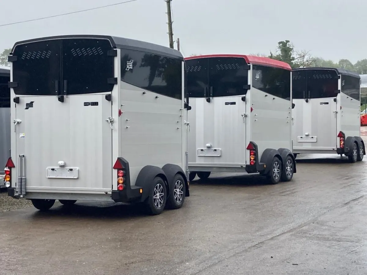 JUST ARRIVED NEW Ifor Williams HBX511 Horsebox - Image 2