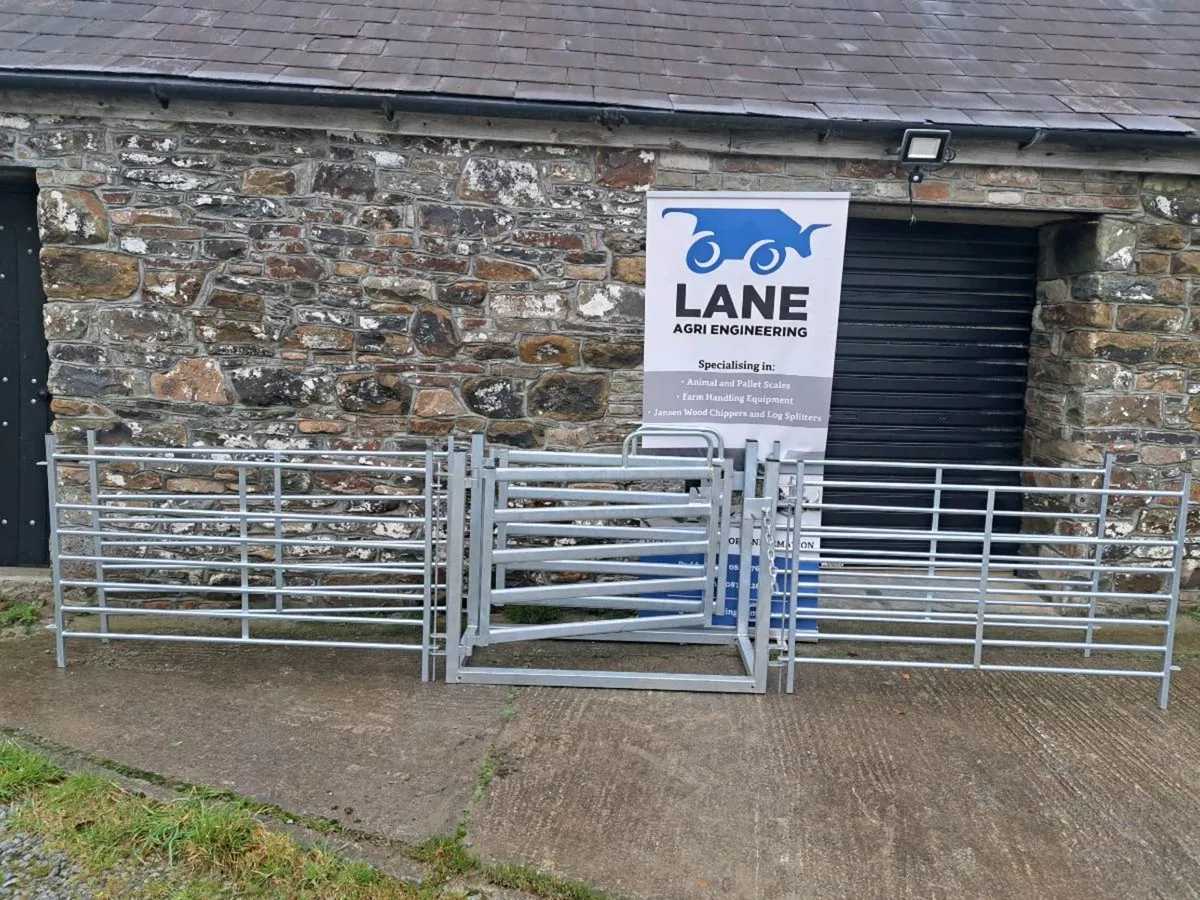 Sheep Drafting Gate - Image 1