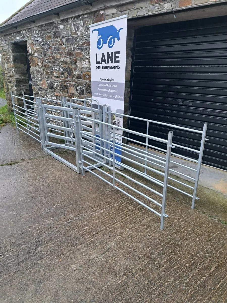 Sheep Drafting Gate - Image 3