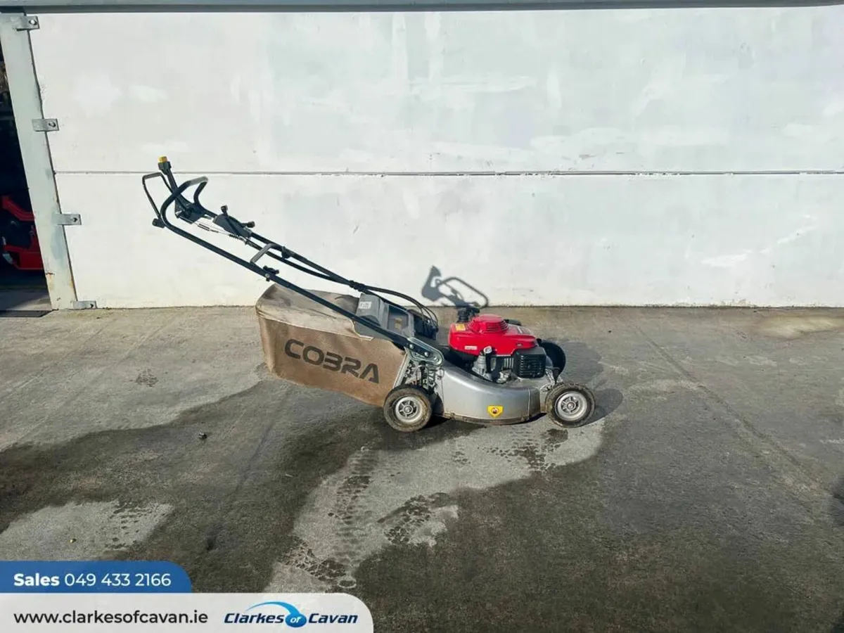 SALE Cobra Kaaz walk-behind lawnmower - Image 4
