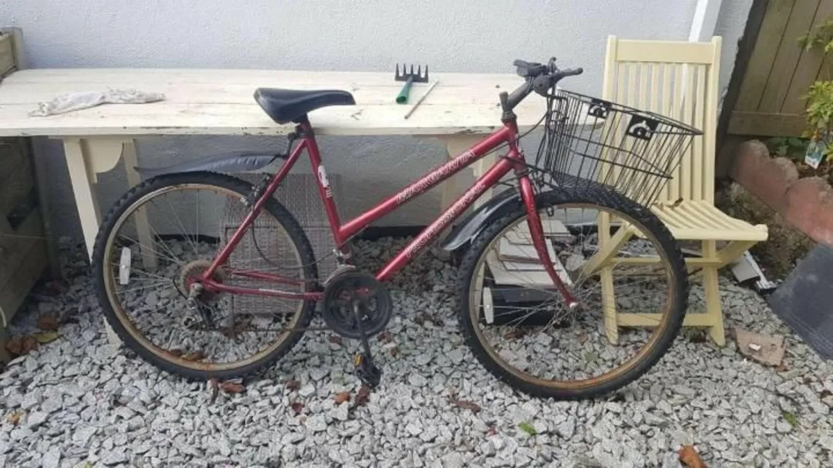 Donedeal on sale mountain bikes