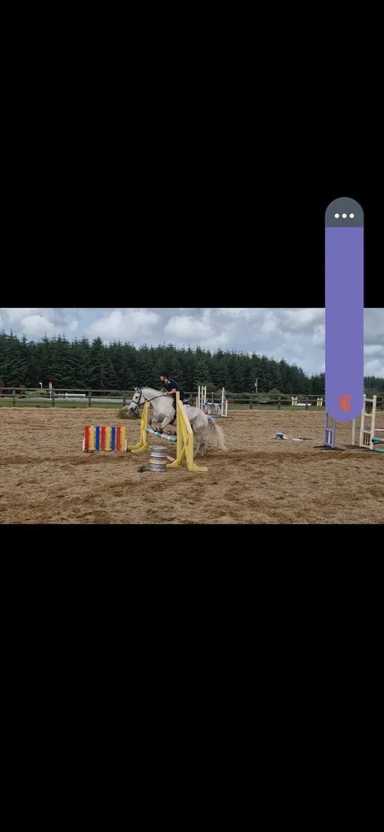 Wexford equestrian Sand