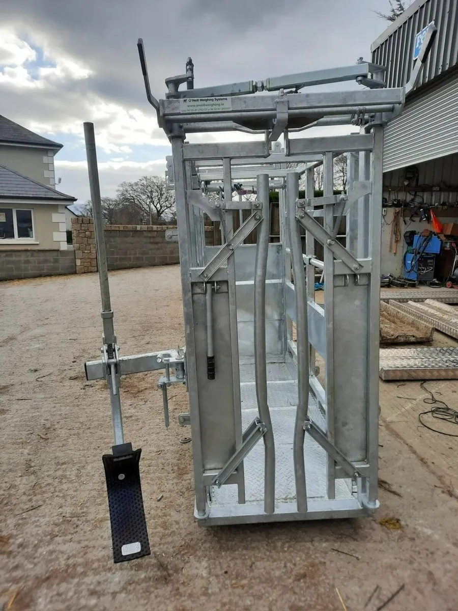 Livestock Scales/ Mobile Weighing Crate - Image 3