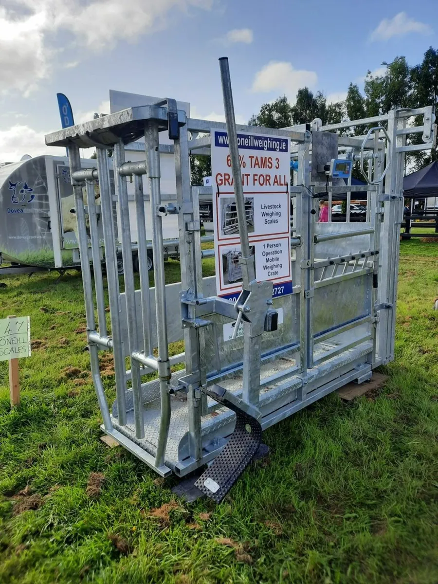 Livestock Scales/ Mobile Weighing Crate - Image 4