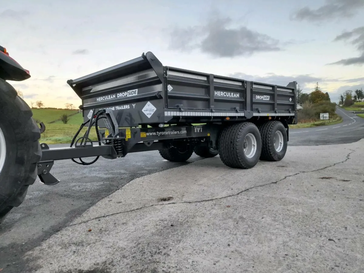 10 Ton Dropside Trailer - Image 2