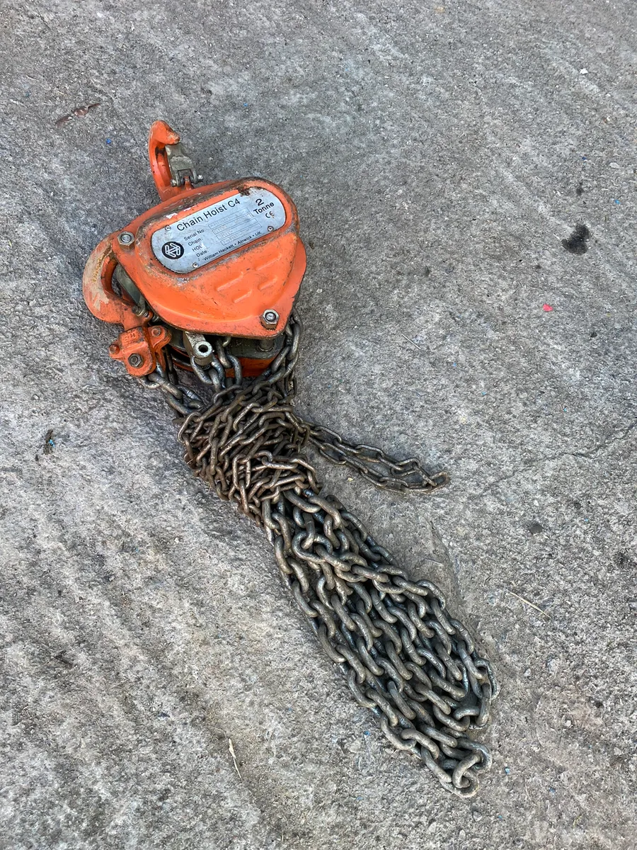 2TN Chain Hoist - Image 2
