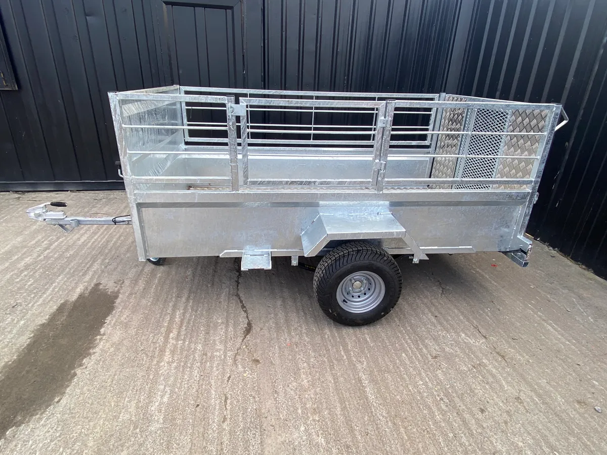 Quad/Sheep Trailer - Image 2