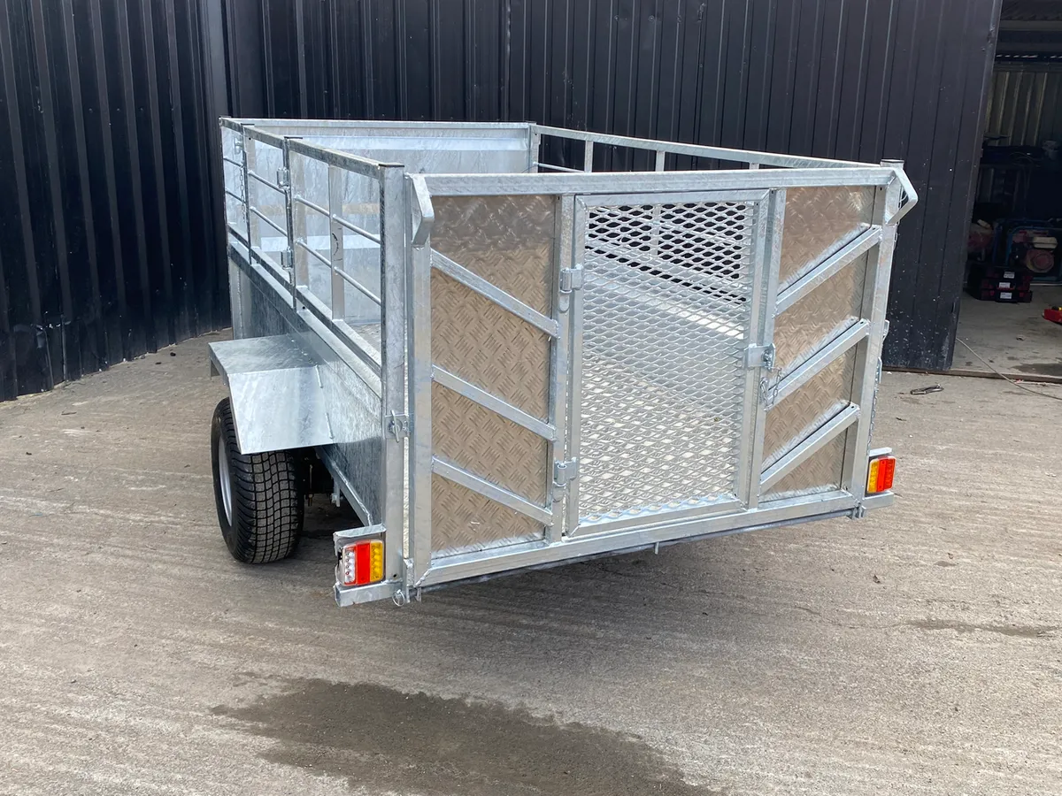 Quad/Sheep Trailer - Image 4