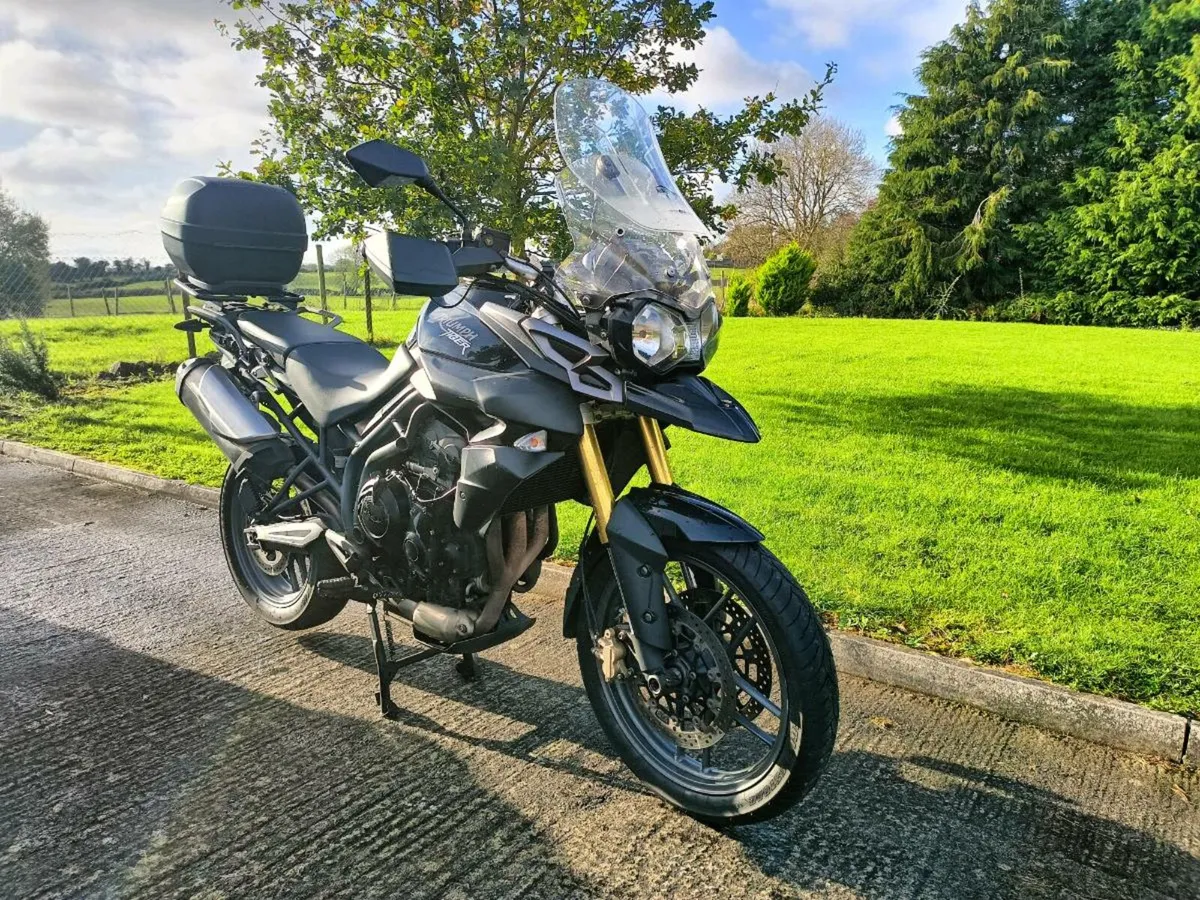 Triumph tiger cheap 800 for sale