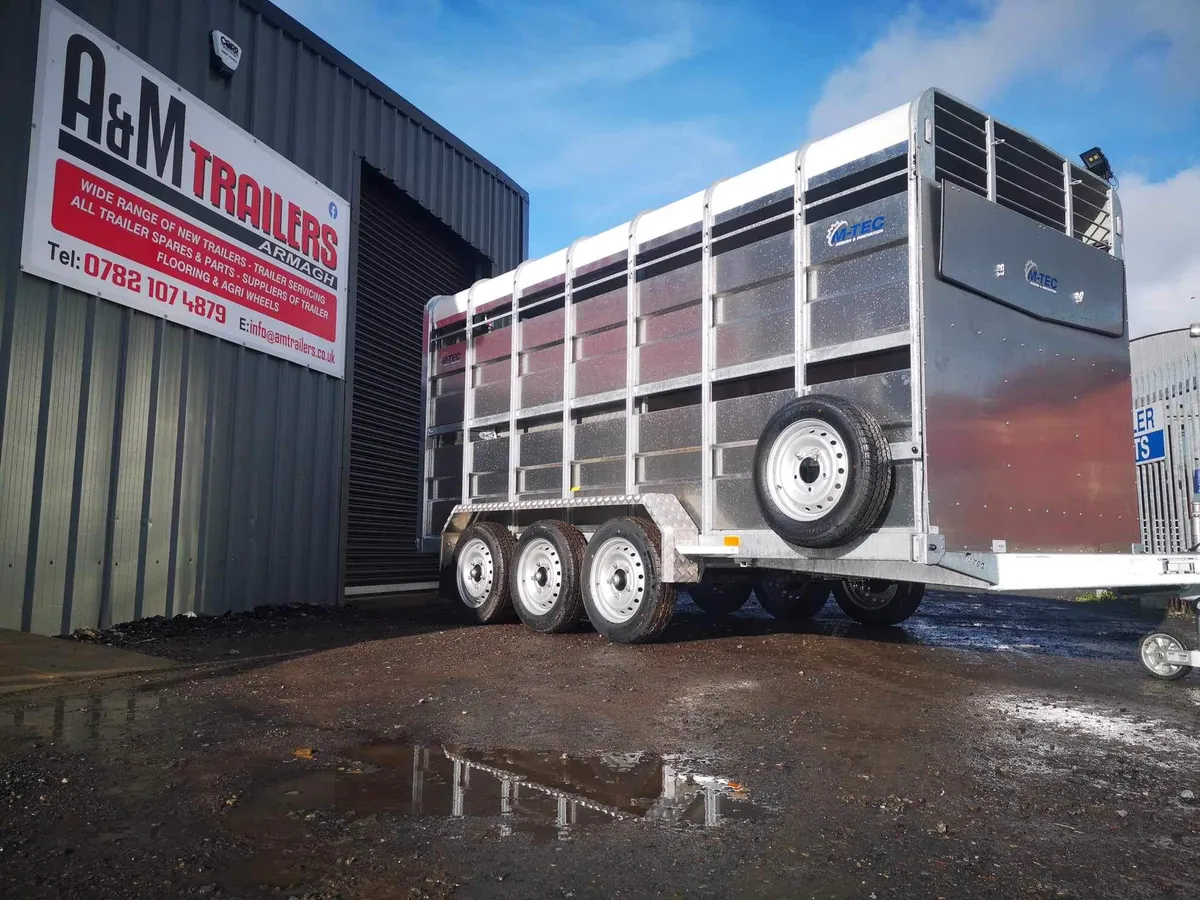 M-TEC cattle trailer 14x6 livestock