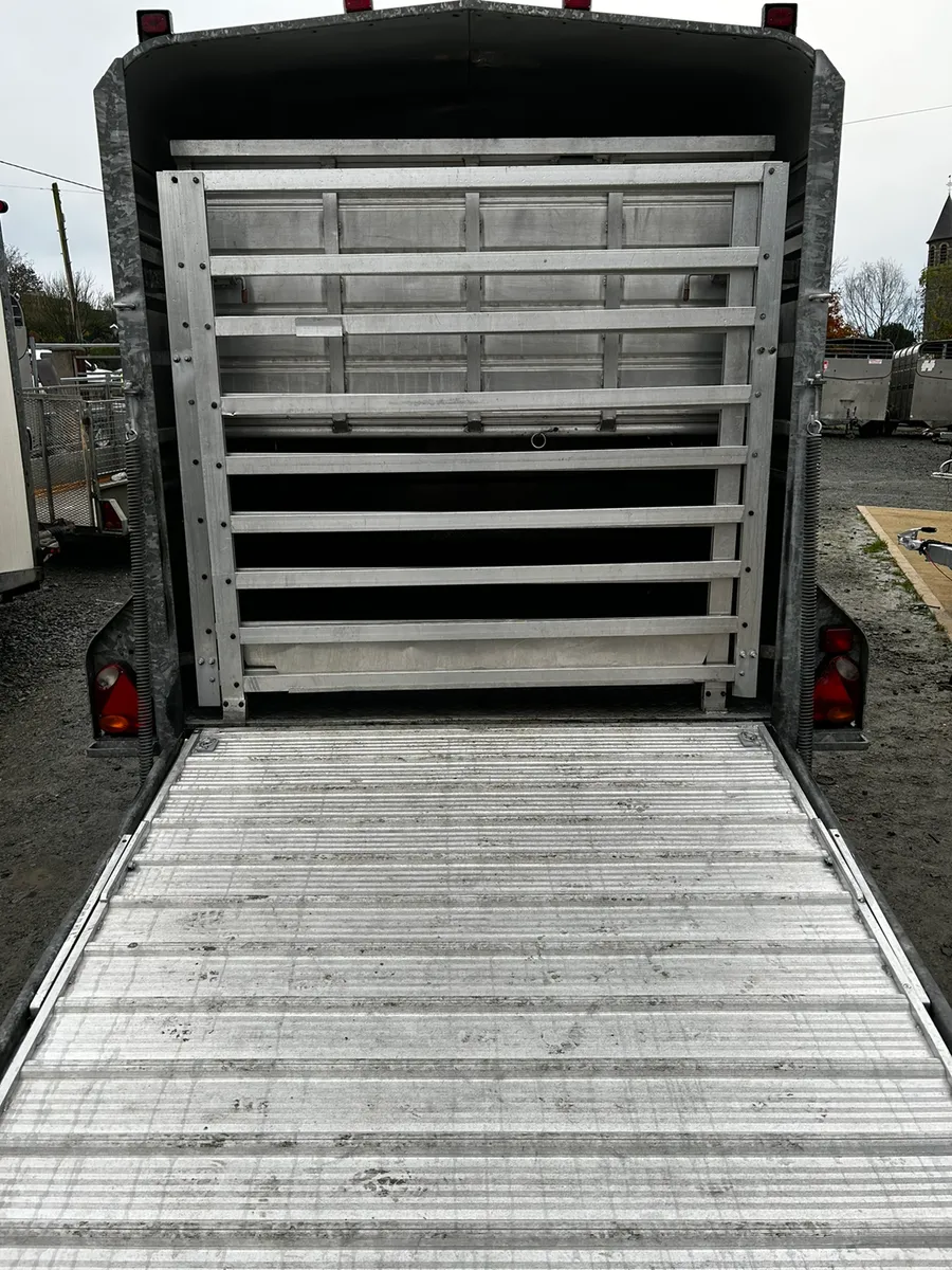Hudson 12x6 With Decks - Image 2