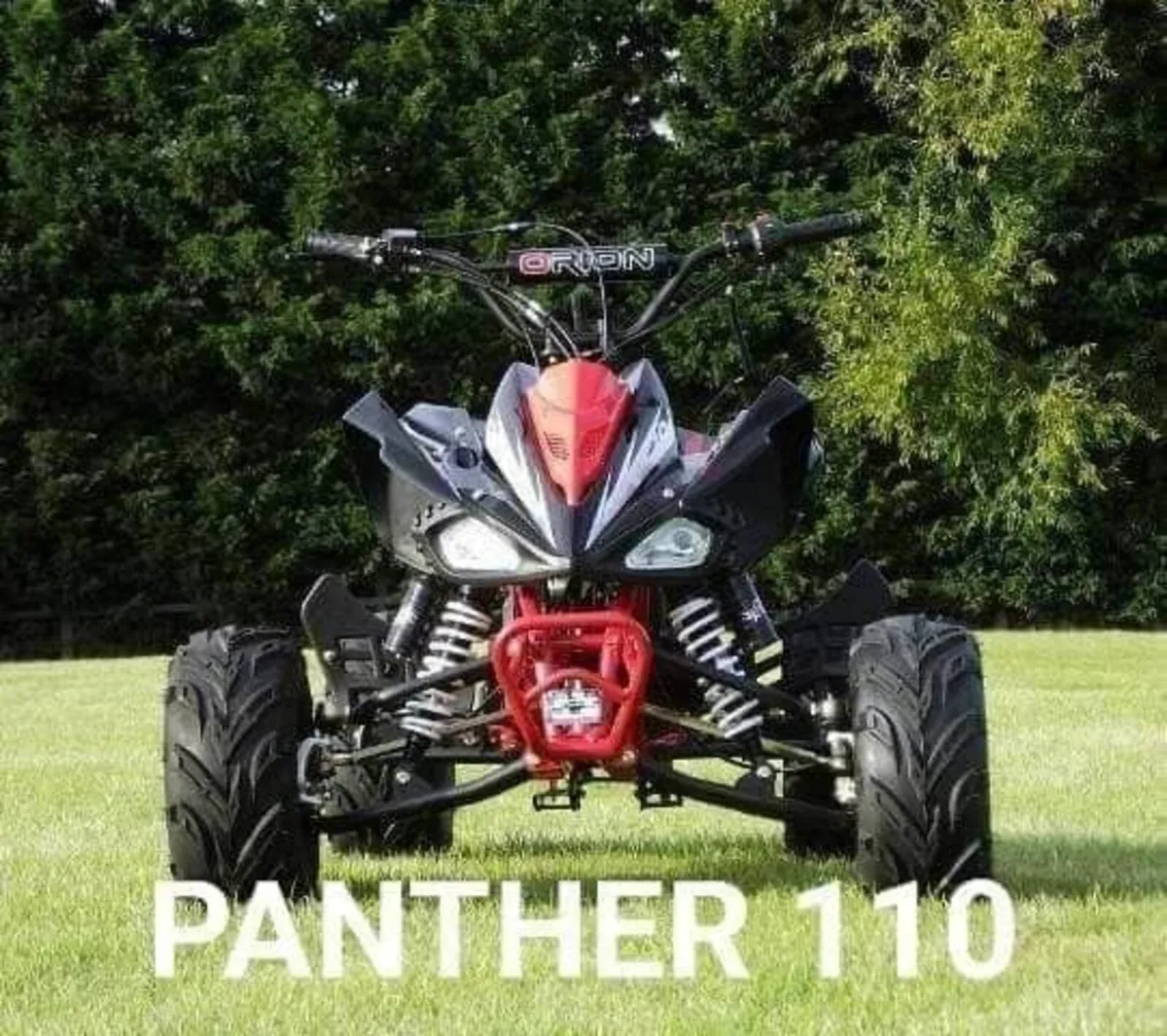 PANTHER 110 kids adult SIZE Xmas Warranty Delivery - Image 1