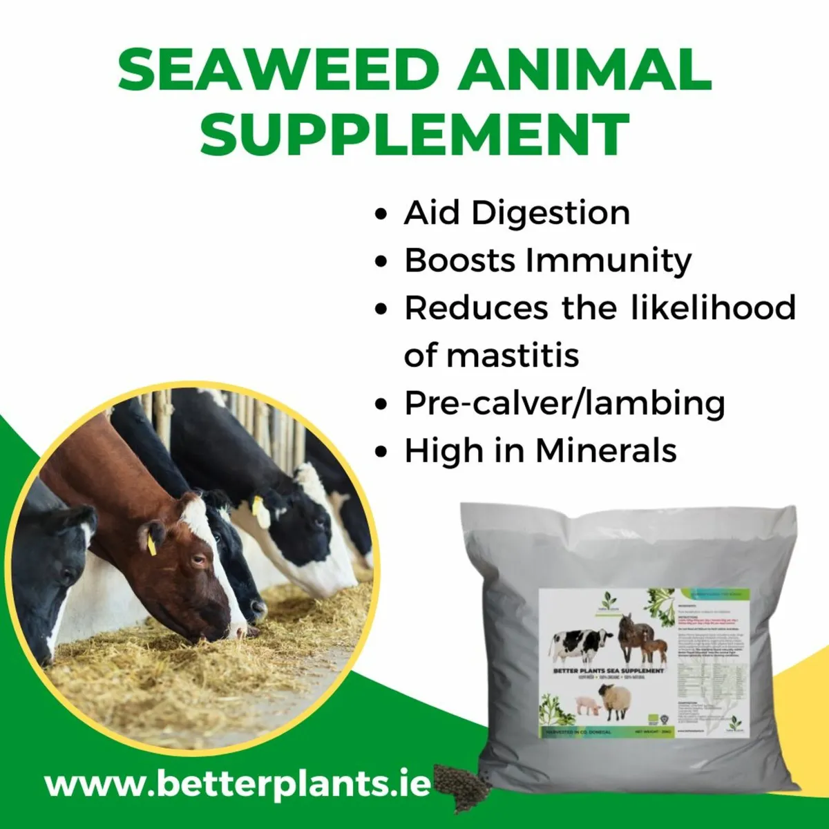 100% Seaweed Supplements