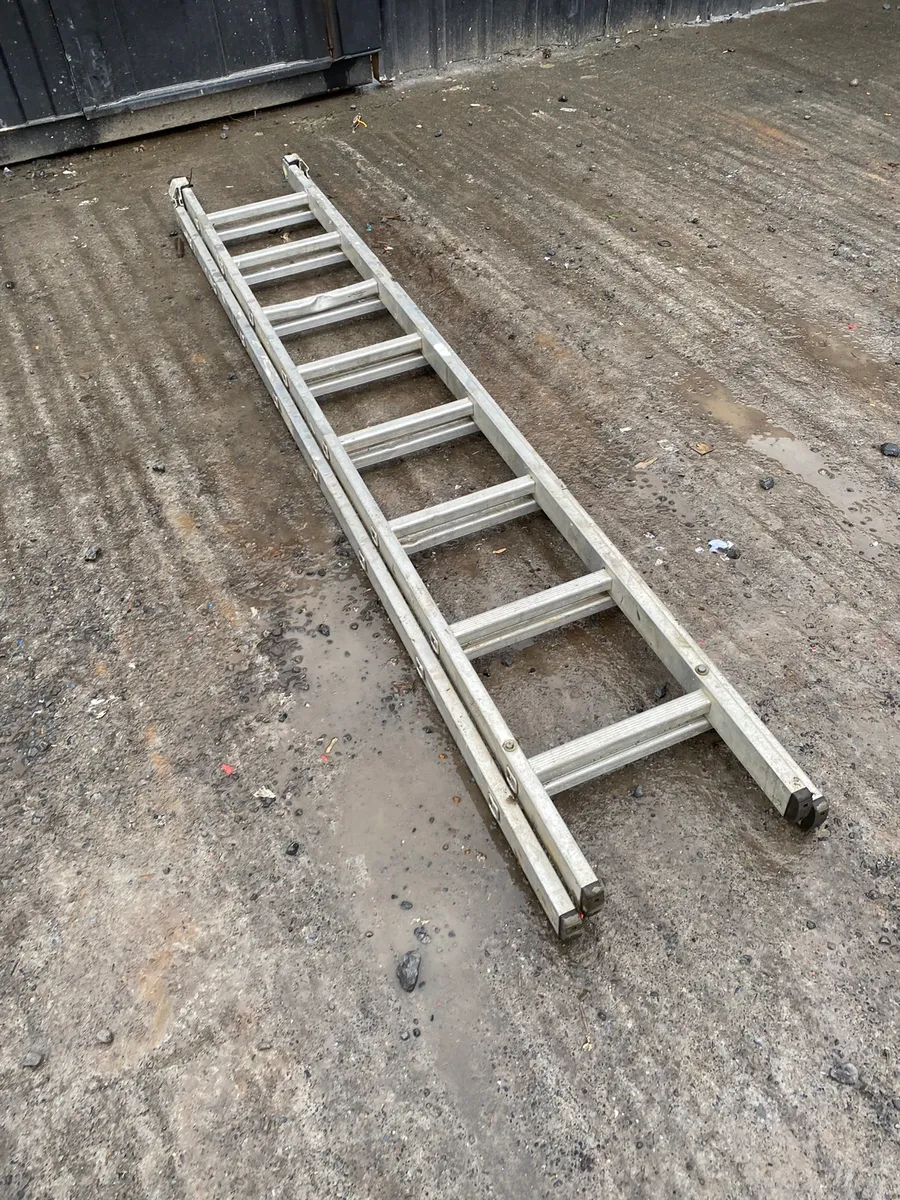 Ladder - Image 2