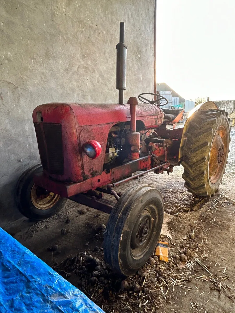 For sale David Brown 950 tractor