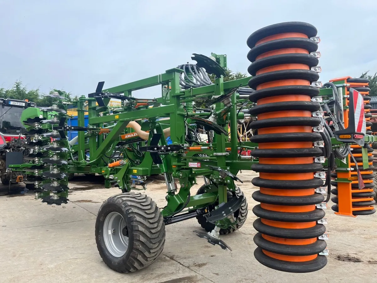 Amazone ceus - Image 1