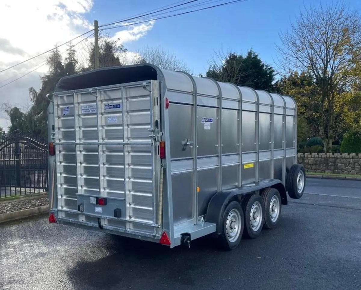 New Ifor Williams 14'x5'10 Cattle Trailer - Image 4