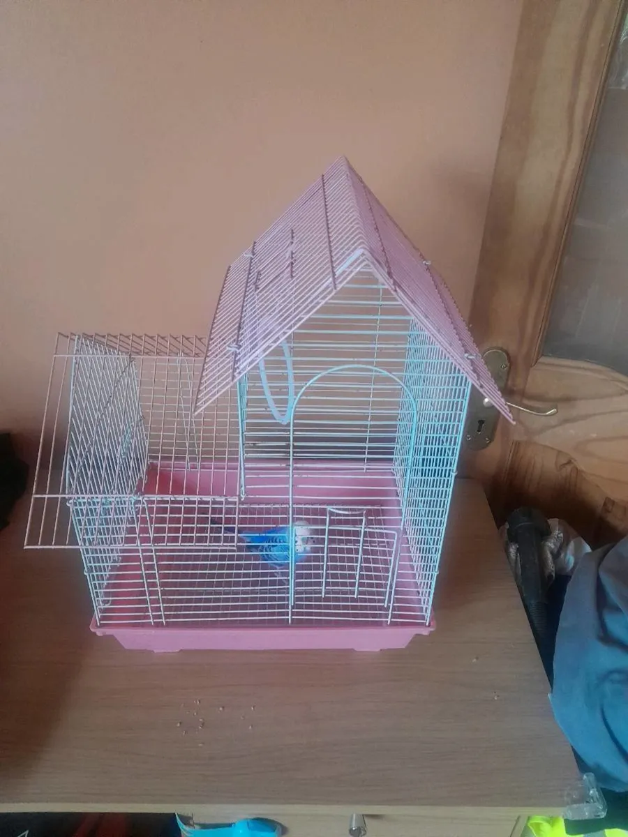 Bird Cages and flight cages for sale in Co. Cork for €100 on DoneDeal