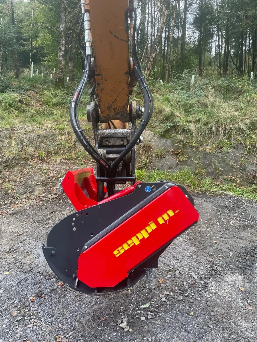 Seppi BMSF 125 excavator mulcher - Image 4