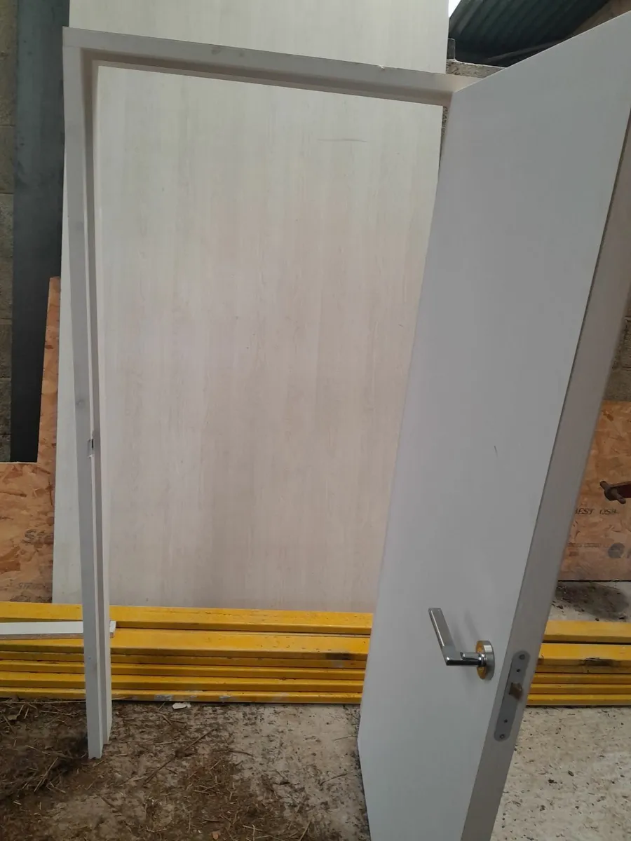New doors .frame and handle included - Image 1