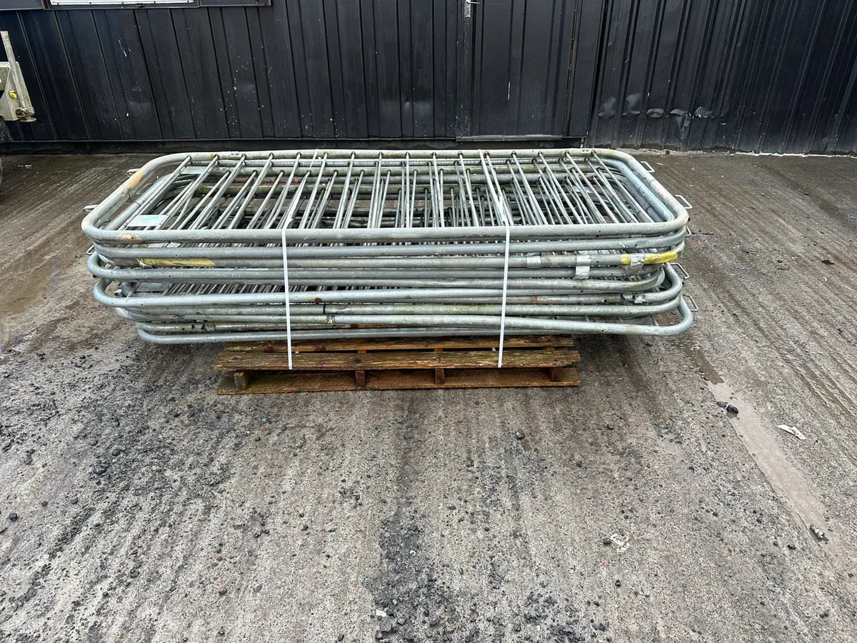 Large Selection of Sheep Hurdles - Image 2