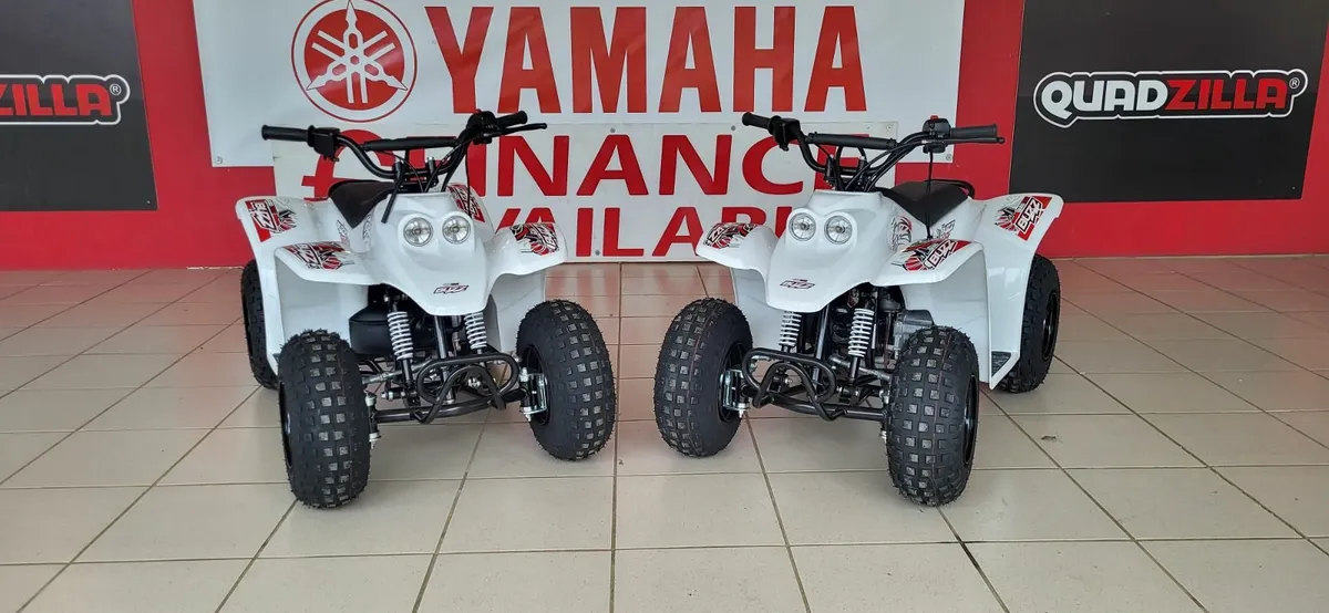 NEW QUADZILLA BUZZ 50cc - Image 2