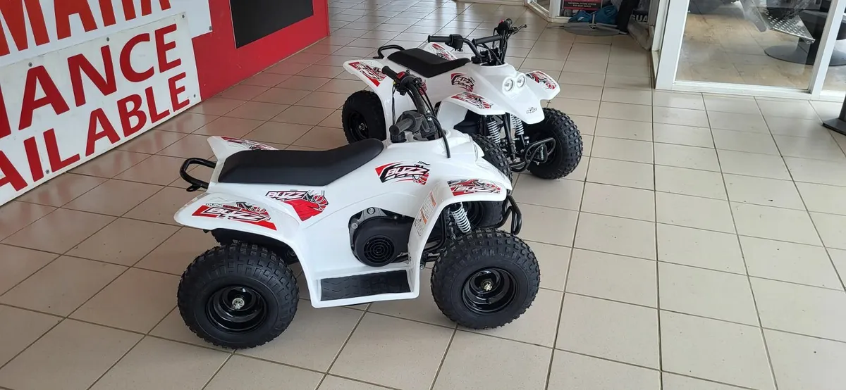 NEW QUADZILLA BUZZ 50cc - Image 3